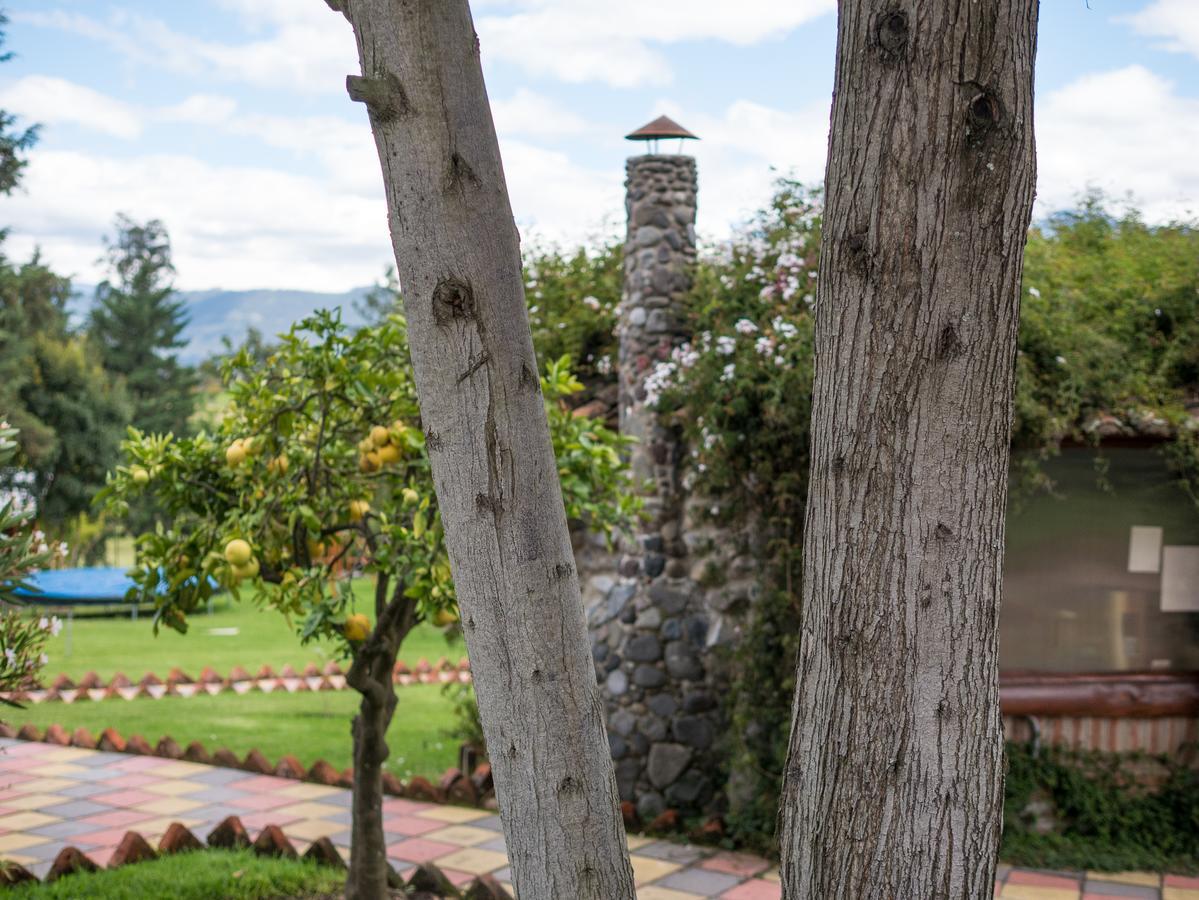 Zaysant Lodge